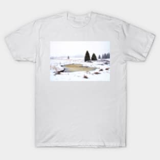 A Winter Scene T-Shirt